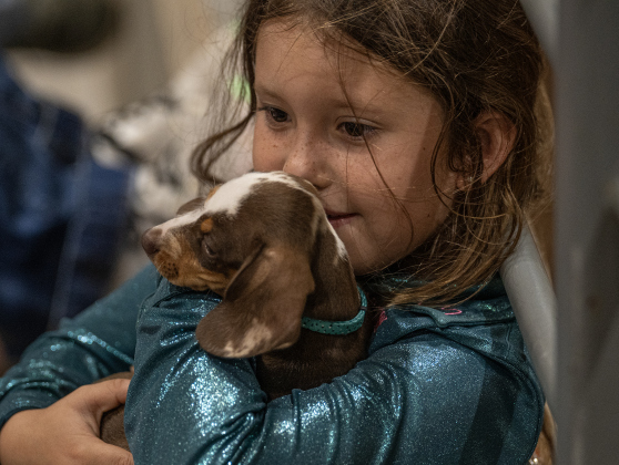 7-year-old Kollyns Zamora, who competed in poles and barrel racing, relaxes with an 8-week-old puppy named Hank  during the 3rd Annual Bill Pickett Youth Rodeo, held at the Williamson County Expo Center on Saturday, June 20, 2026.  Contestants can be no older than 18 to participate.     Photo by Andy Sharp