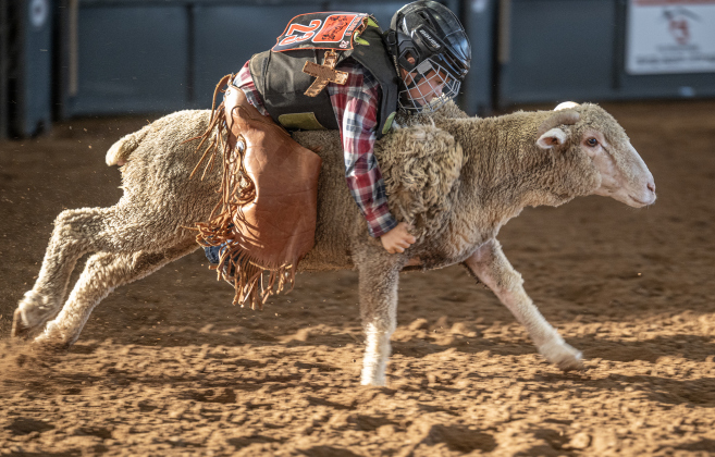Jace Barham competes in Mutton Bustin’  during the 3rd Annual Bill Pickett Youth Rodeo, held at the Williamson County Expo Center on Saturday, June 20, 2026.  Contestants can be no older than 18 to participate.     Photo by Andy Sharp