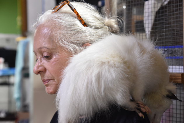 President Helen Laughlin with ambassador animal, Magnolia the opossum. Photos by Alyssa Perera