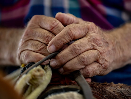 The hands of James Lee, 76, of Gatesville, a Team Roping participant,  are seen during the Texas Senior Pro Rodeo Association’s Rodeo held Saturday, August 15, 2026 at the Williamson County Expo Center.