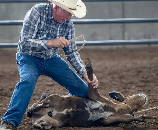 Jerry Cass, 83, of Rockdale, Texas competes in Breakaway Roping   during the Texas Senior Pro Rodeo Association’s Rodeo held Saturday, August 15, 2026 at the Williamson County Expo Center.