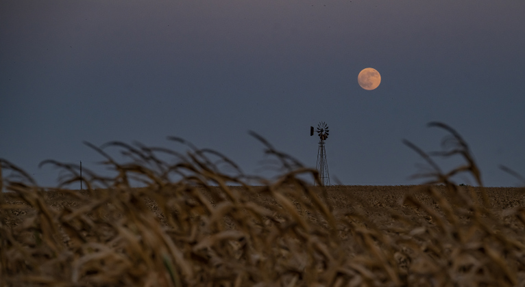 A Full Moon rises over a field a few miles east Weir on Tuesday, July 28, 2026.    Photo by Andy Sharp