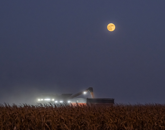 A corn harvest continues under a Full Moon seen along County Road 366 on Tuesday, July 28, 2026.    Photo by Andy Sharp