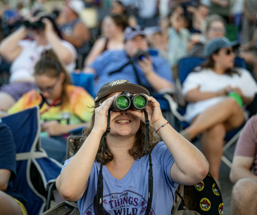 Grace Aneonetani keeps her binoculars focused on  Purple Martins gathering in the sky over Greenlawn Crossing Shopping Complex on Friday, July 31, 2026.