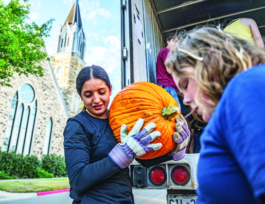 Valentina Sanchez was among the volunteers helping unload more than 3,000 pumpkins at Georgetown First United Methodist Church on Wednesday afternoon, October 8, 2025. The annual pumpkin patch includes 46,000 pounds of pumpkins from the Navajo Nation in New Mexico. Pumpkins are available from early October until Halloween.    Photo by Andy Sharp