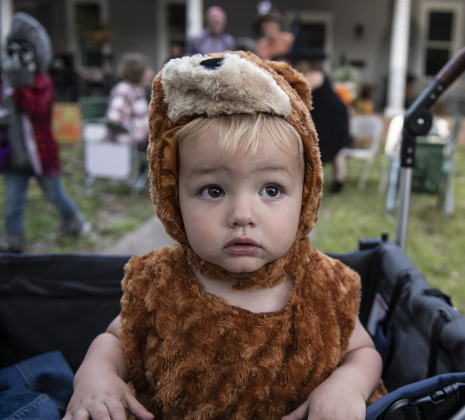 Hunter Bear, 18 months, dressed as a bear (like his actual name) for Halloween night along Main Street in Old Town on Monday, October 31, 2022. (Sun Archive)