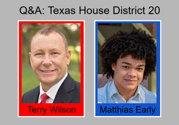 Texas House District 20