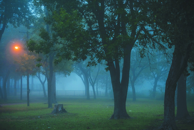 Early-morning fog engulfs Murphy Park Wednesday, November 2.