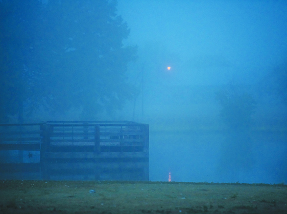 Bull Branch Park was also shrouded in mist Wednesday, November 2.