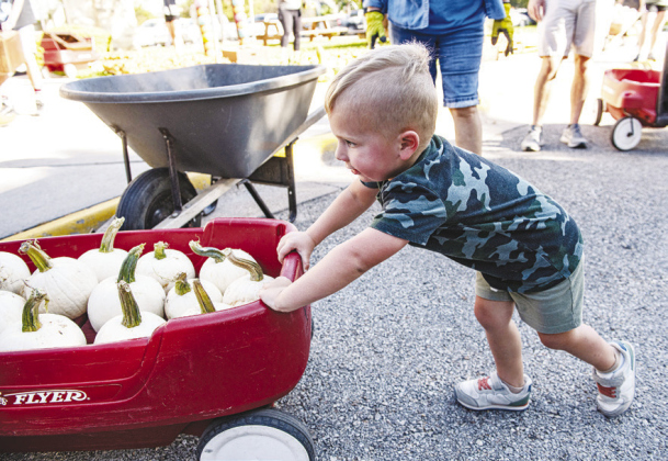 Jack Rogers, 3, was happy to help.