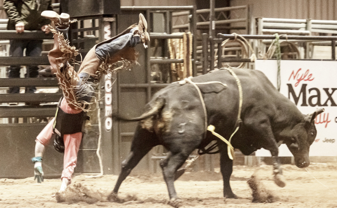Eric Harringer of Waco takes a spill during Bull Riding at the Williamson County Rodeo during the second annual Williamson County Fair and Rodeo Friday, October 28. See more on Page 9 ANDY SHARP