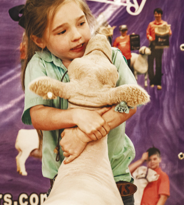 Carlie Stiles, 6, of Cleburne, holds on tight to her sheep.