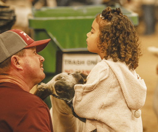Mark Wallen of College Station assures his granddaughter Peighton Brown, 5, that there is nothing to fear about going into the show arena with her sheep, Roxie.
