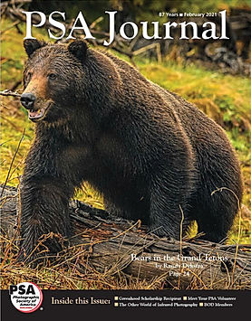 The PSA Journal February 2021 cover featured Randy Dykstra’s photo of the ultimate predator in America.