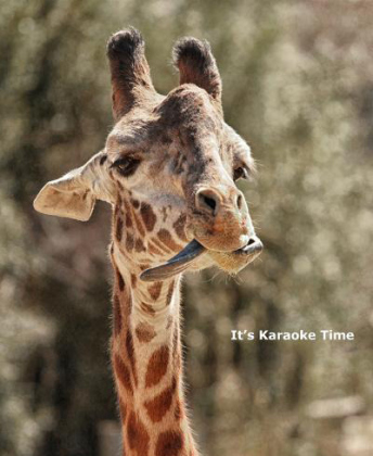 “It’s Karaoke Time” by Wes Odell on display in Mulligan’s patio gallery