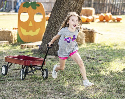Payton Gamble, 7, raced to collect another batch of pumpkins.