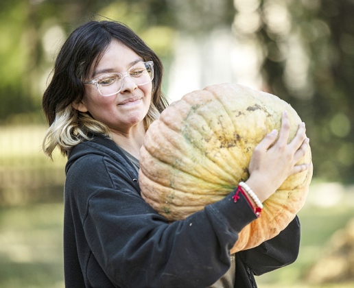 Ashley Galindo, 16, a junior at Legacy Early College High School, helps unload pumpkins. — Photos by Andy Sharp