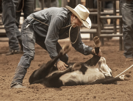 Daniel Brashear of Franklin competes in Tie-Down Roping.