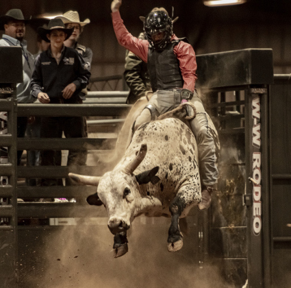 Cavalry Norris of Bryan rides a bull.