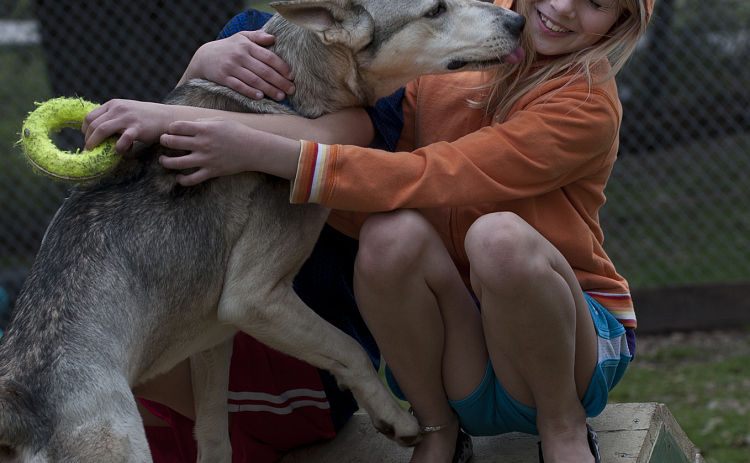 Twin sisters Brianna (right) and Jacqui Spencer get to know Dusty, a 2-year-old dog that was up for adoption at the Georgetown Animal Shelter on February 10, 2013. (Sun Archive)