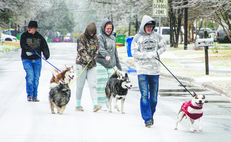 Friends brave an icy day to walk their dogs near North Drive in Taylor on February 3, 2022.  (Sun Archive)