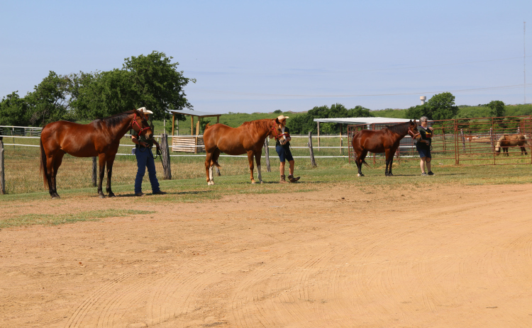 ROCK is a Georgetown nonprofit organization providing equine-assisted services to people with physical, cognitive and emotional challenges living throughout Central Texas since 2011.