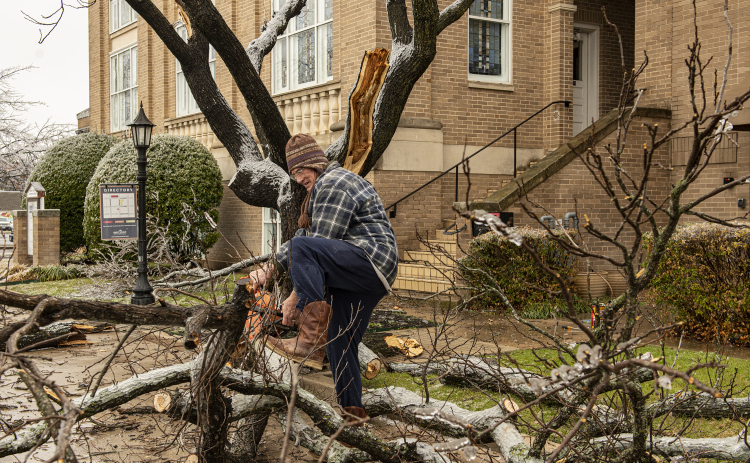 Church member John Lawton takes a chain saw to a downed tree in front of Main Street Baptist Church Thursday. A major ice storm in Williamson County left many areas without power, with downed trees throughout the area. Temperatures began to climb above the freezing mark by Thursday. (Photo by Andy Sharp)
