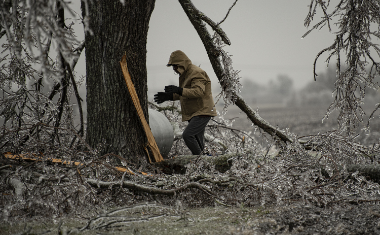 Residents continue to clear tree limbs from their properties. (Photo by Andy Sharp)