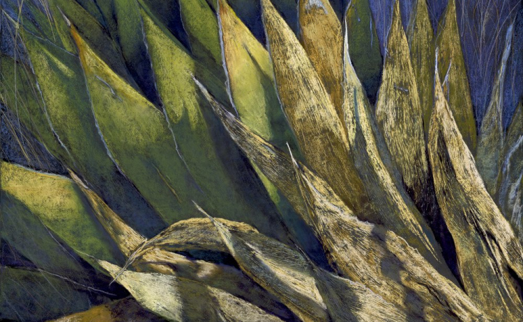 Anna Lisa Leal’s “Remnants of the Past” is now on display at the Georgetown Art Center.