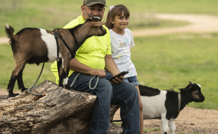 Jose Gandara of Georgetown spent a relaxing afternoon at Berry Springs Park & Preserve Wednesday, March 1, 2023 with his daughters Sophia, 10, and Julia, 7, accompanied by the family's pet goats, Biscuit and B.J., both just a few months old.  He is shown here with Julia, Biscuit, left, and B.J.  The goats, siblings, are leash-trained and well-behaved. Sophia and Julia bottle-fed them at first. The family has a barn, but during recent icy weather, they were guests in the Gandara home. Photos by Andy Sharp