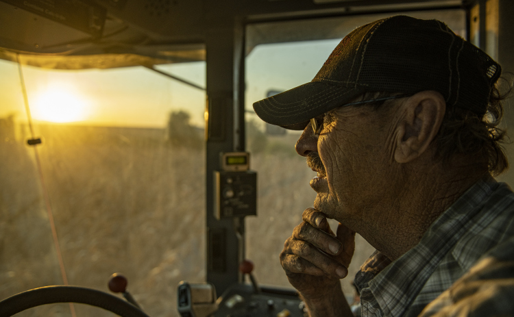 Larry Svehlak, 70, guides his combine through a cornfield along County Road 340 July 8, as he continues his final harvest before retiring. Svehlak and his brother August are harvesting 450 acres this summer.