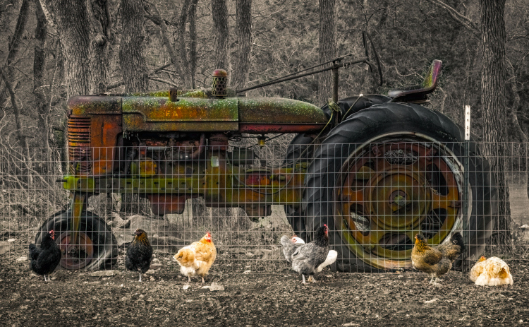 Sherilyn Vineyard’s photography is on display in the Café Gallery through August 31.