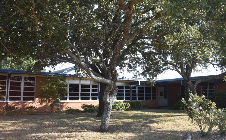 Old Carver Elementary school at Scenic Drive and West 17th Street has been reborn as the Carver Center for Families, an initiative of the Georgetown Health Foundation.