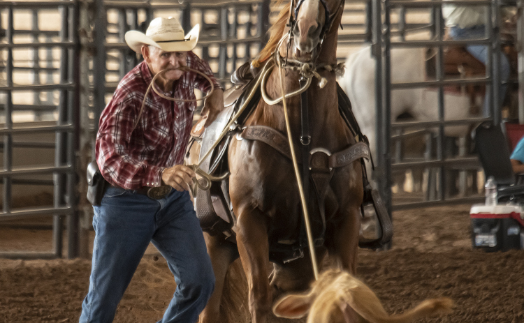 Rex Sandifer of Elgin competes in Tiedown Roping.
