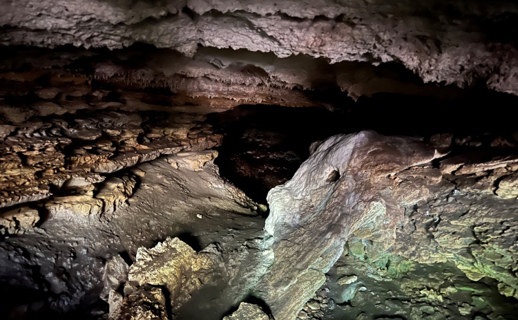 Pecan Springs Karst Preserve in Jarrell. The cave is home to Tricolored Bats. Courtesy Rachael Lindsey.