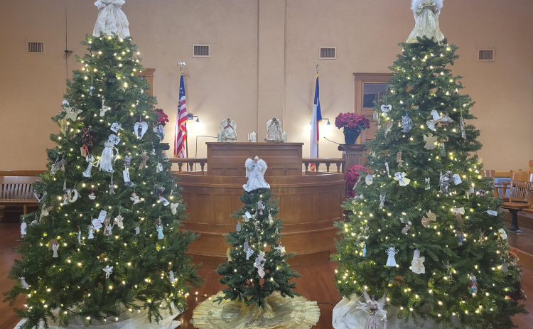 Three trees stand in the County Courthouse 26th District Courtroom for the 11th annual Tree of Angels Ceremony. This year there is a children’s tree for kids to place an ornament of their loved one and for children who have died because of violent crime.