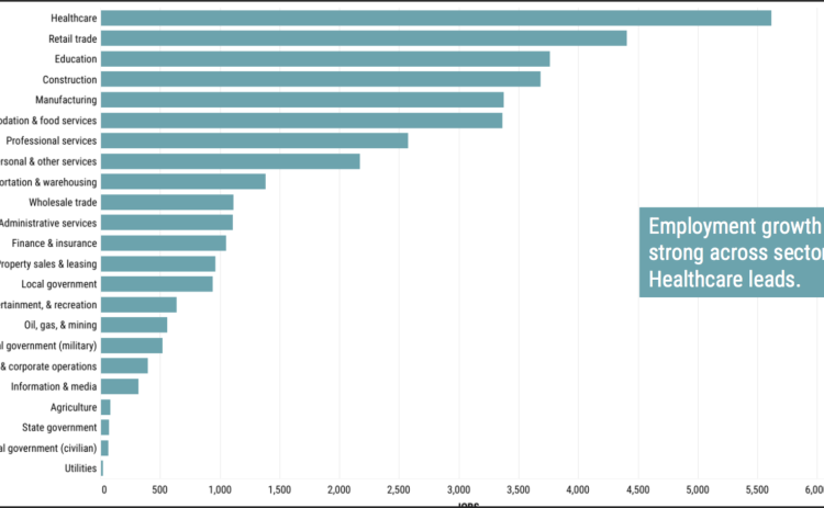 This chart shows the top industry employers in Georgetown. Healthcare comes out on top with over 5,500 employees followed by retail trade with almost 4,500. (Chart courtesy TIPS Strategies)