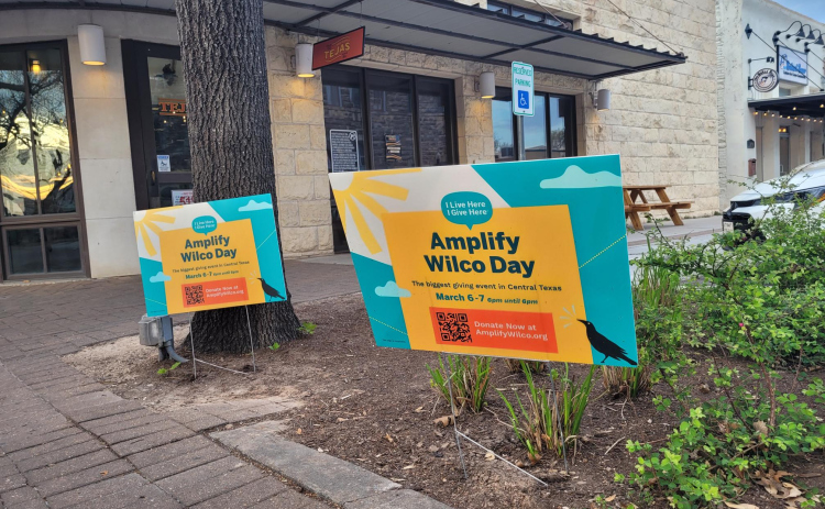 Amplify Wilco yard signs decorate the Square to promote the many nonprofits trying to raise money. This is the first Amplify Wilco for nonprofits within the county.