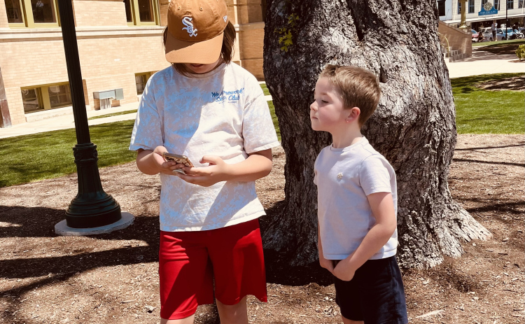 Grandkids Charlie and Simon play Pokémon Go on the Square.