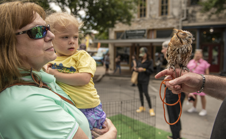 3-year-old Allison Warren and her grandmother Susan Hecker admire Sam, an Eastern Screech Owl cared for by All Things Wild Rehabilitation  during Market Days. Holding Sam is All Things Wild volunteer James Davis. 