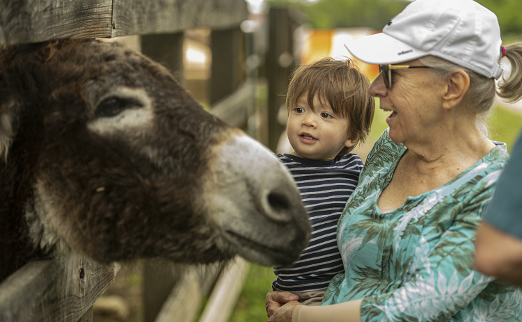 Lisa Barnes and her grandson Wesley Morrow, 2, visit with a donkey named Pedro at Berry Springs Park & Preserve  on Saturday, April 20, 2024.   The park has a second donkey named Bob. Photos by Andy Sharp