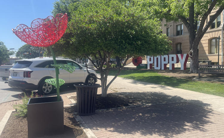 The Square in Georgetown is decorated with red poppy sculptures and a lard sign on the courthouse lawn ahead of this weekend's festival.