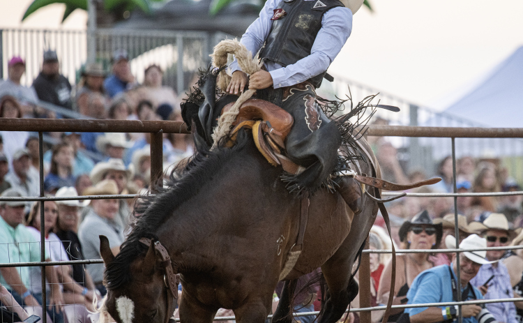 The Williamson County Sheriff Posse Rodeo will host its annual event June 28-29 at the WCSP Arena, located on 1600 County Road 305 in Jarrell.