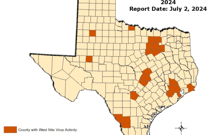 Texas counties reporting mosquito virus activity, week 26 of the 2024 season. Illustration courtesy of the Texas Department of Human Health Services.