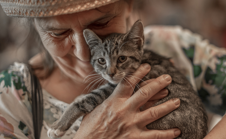 Valiantsina Charnabai gently cuddles a kitten during a Georgetown Animal Shelter kittens adoption event held at the Georgetown Public Library.