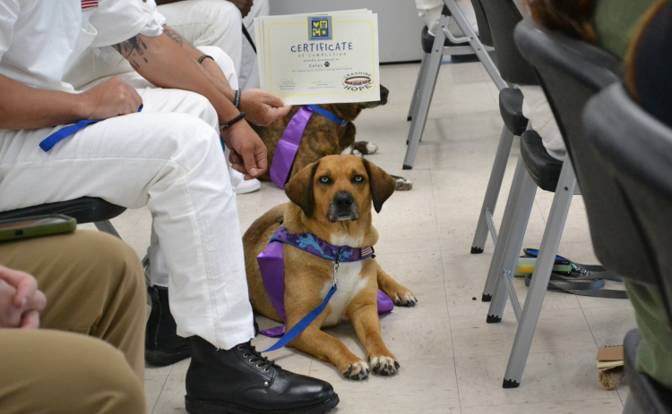 The Leashing Hope graduate, Celes, sits with their handler in the Texas Department of Criminal Justice's Bartlett Innovation Unit at the Leashing Hope graduation, April 25. Photo courtesy of Williamson County.