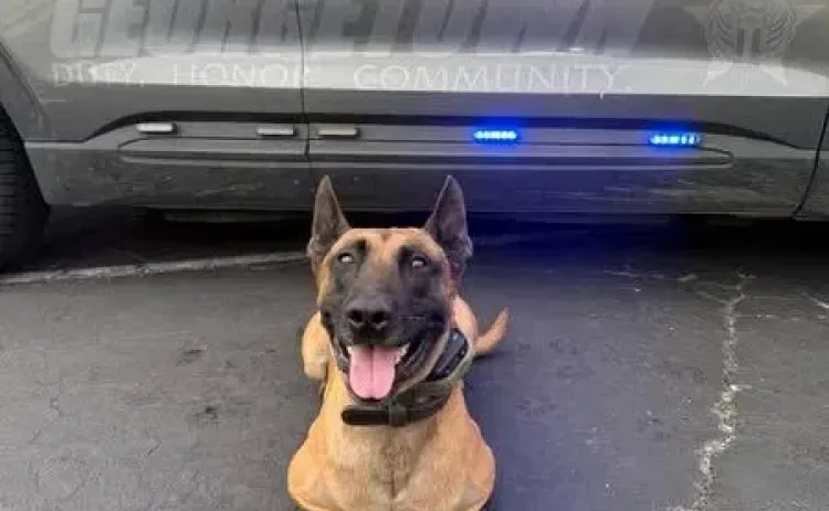 GPD K9 Officer Herakles
