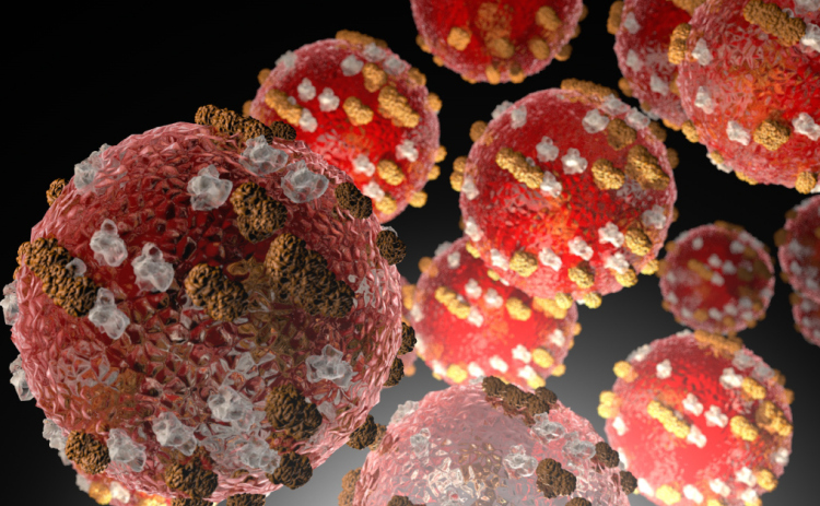 Measles infect healthy cells. About one in 1,000 children with measles will develop swelling of the brain. Nearly one to three of every 1,000 children infected with measles will die from respiratory and neurologic complications, according to the CDC. Illustration courtesy of the CDC.