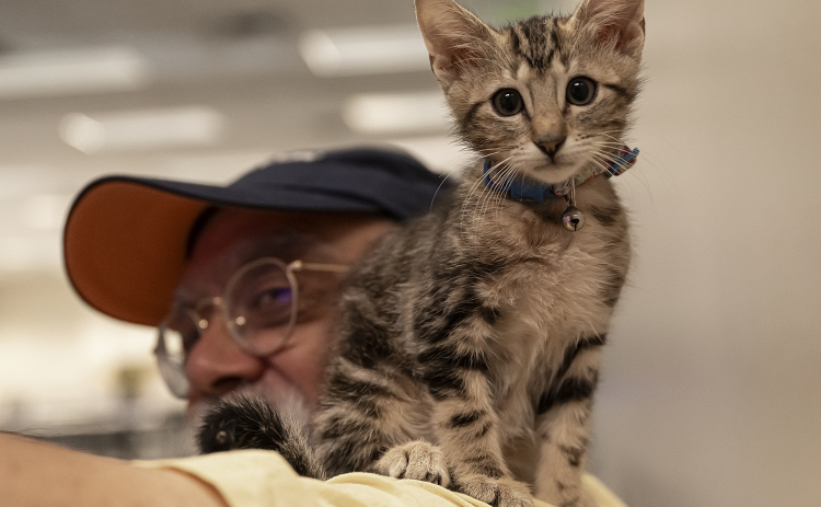 Pete Escalante spends time with a kitten he adopted named Chaos during the kitten adoption event coordinated by the Williamson County Regional Animal Shelter and the Georgetown Public Library on Wednesday, August 6. All 19 kittens brought to the library were adopted. (Photos by Andy Sharp)