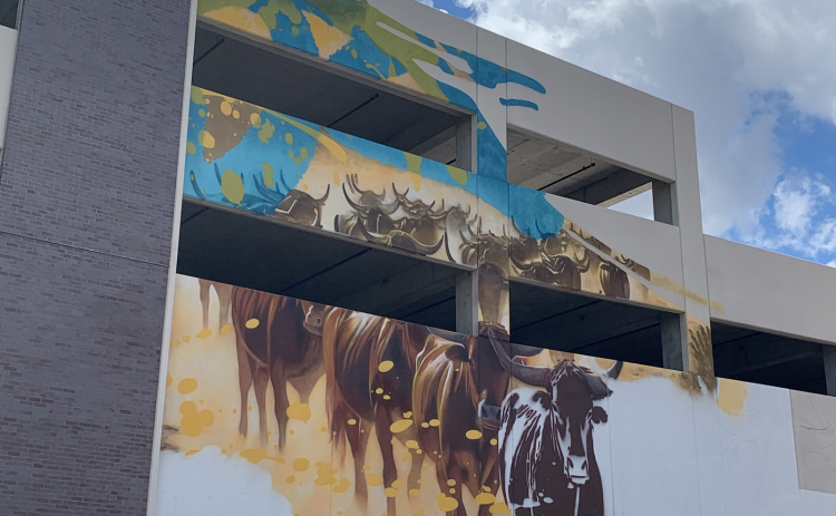 Longhorns are featured on the top left of the parking garage. They represent how the Chisholm Trail cattle drives used to go through downtown Georgetown. (Photo by Kaitlyn Wilkes)